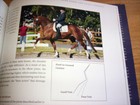 Selecting The Dressage Horse Conformation Movement Temperament