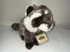 Webkinz Signature Woodland Raccoon Wks1073 Retired Plush New W Unused Code Rare 
