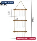 Xxxflower Wall Hanging Propagation Station With Wooden Stand Glass Test Tubes Ti