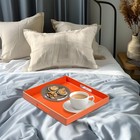 Maoname Decorative Tray Orange Serving Tray Handles Coffee Table Tray Square