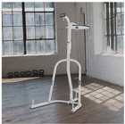 Everlast Dual Station Heavy Duty Powder Coated Steel Heavy And Speed Bag Stand