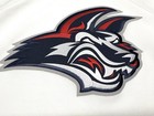 Elmira Jackals Echl Hockey Sp Brand Stitched Jersey Size Medium