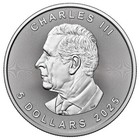 2025 Canadian Maple Leaf 1 Oz Silver Coin Gem Bu     free Shipping  