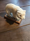 Vintage Fur Polar Bear  Taxidermy 