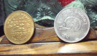Greg Bingham s  54 Car Wash  Token Houston Tx   Sud City  1 Car Wash Token