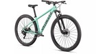 Specialized Rockhopper Comp 29  Gloss Oasis   Tarmac Black Xl