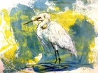 Samatowic Egret Water 9x12 Abstract Expressionism Signed Original Art 10