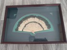 Antique Asian Fan Painted Peacock Feathers Plastic Handle Framed Shadowbox