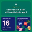 Cerebelly Organic Baby Food Pouches Kale Sweet Potato Apple 6 Count