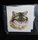 8 Ceramic Waterslide Decals  Cats  4 Different Breeds  2 Decals Of Each  2 