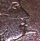 1804 Draped Bust Half Cent 1 2c  Bn  Spiked Chin  c-6   Business Strike  Km 34