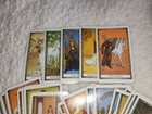 The Unicorn Tarot Cards 1995 Liz Hilton Vintage Deck In Silk Bag 