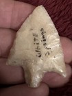 Newman Coral Arrowhead White Springs Florida