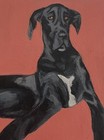 Custom Pet Portrait 5x7        Hand-painted Acrylic Pet Painting From Your Photo