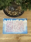 Japanese Leaflet Propaganda Women Children 2073 Original Document