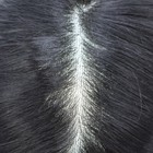 Mens Toupee Hairpiece Fine Mono Hair System Replacement Poly Skin Around Men Wig