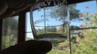 1900 s Denver Colo  H   S Liquor Co  Family Liquors Etched Pre-prohibition Glass