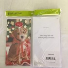 Hallmark Christmas Cards Gift Card Money Holder   Envelopes 12 Pk Puppy Kitten