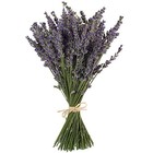 Natural Lavender Bundles - Freshly Harvested Dried - 200  Stems