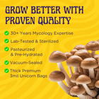 5lb Milo Sorghum Grain Spawn