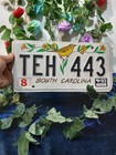 1993 South Carolina License Plate  Yellow Finch Bird  Teh-443