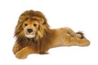 Zeus 20  Dlux Lion Stuffed Animal Plush By Douglas Cuddle Toy Big Wild Cat