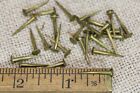 Old Brass 25 Nails 3 16    Domed Round Slim Oval Head Canoe Tacks 1940 Vintage 5 8