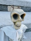 Gillian s Wonderland Pier Haunted House Flying Ghost Skull Prop Amusement Park