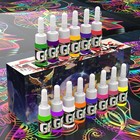 14 Colors Tattoo Ink Set 0 17oz  Pigment Kit For Tattoo Artists   Beginners