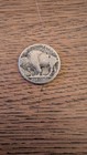 Buffalo Nickel No Date Indian Head 5c Circulated Us Coin Free Shipping