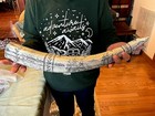 Scrimshaw Walrus Tusk Reproduction American Captain John Paul Jones 22 Inches 