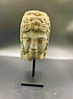 Old Antique Gandhara Art Gray Schist Stone Head