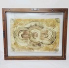 Antique Real Moth Butterfly Wings Natural Art Taxidermy Framed Stunning 