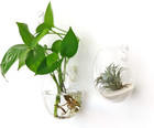 Wall Hanging Propagation Station Glass Plant Terrarium Container Egg Shape For P