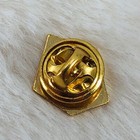 Vtg 1976 Us Ski Team Enamel Lapel Pin