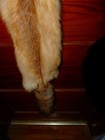 Huge Beautiful Tanned Red Fox Fur Pelt Skin Taxidermy F3 Man Cave Log Cabin Trim