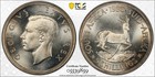 South Africa  1950 George Vi Five Shillings  5 Shillings  Pcgs Pl 67  Crown 