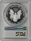 2019-w American Silver Eagle - Pcgs Pr70dcam - Premier Label -    coingiants   