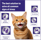 3 Pack 30 Days Feliway Optimum Refill Diffuser   Enhanced Calming   Exp 02-2027