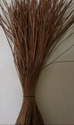 Northern Fl Long Pine Needles 10   -12    Inches In Length 