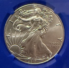 2017  p  American Silver Eagle Ngc Ms69 Mint Blue Core