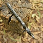 Hand Forged Damascus Steel Twisted Blade Fantasy Dagger Adventure Edc Gift Knife