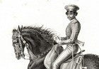 Horse Gidran Transylvanian  Very Rare Antique 1840s Fine Copper Engraving Print