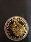 Lot 156  2025 Liberty Coin Brand New