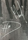 Korn Zippo Poster Summer 2017 Signed By Band