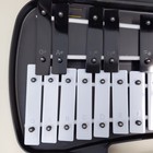 Raonzena Glockenspiel Xylophone Bell Set 25 Note Carry Case Percussion Music 