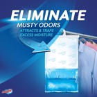 Damprid Hanging Moisture Absorber Fresh Scent 3 Pack Eliminates Musty Odors