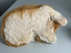 Vintage Sleeping Collie Dog Figure Decor Realistic Lifelike Made With Real Fur