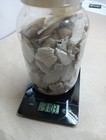 Lot Of Sand Dollars Pacific Seashells 3lbs10ozs Westport Wa Ocean Beach Crafts