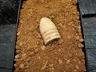 Old Rare Vintage Civil War Miniball In Appomattox Virginia Confederate Camp Soil